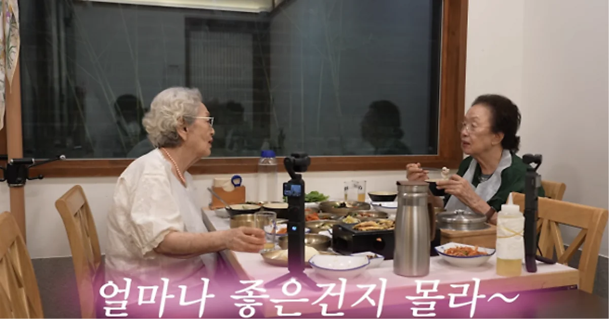 Kim Young-ok and Na Moon-hee reunite for IU's new MV