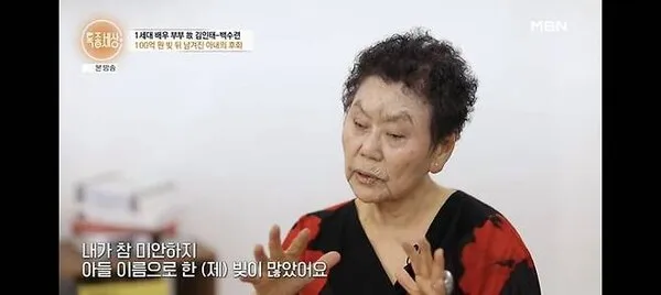 Kim Soo-hyun's Mother Faces 10 Billion Won Debt and Credit Default