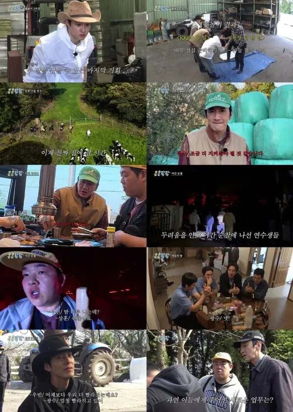 Kong Kong Pam Pam Ratings Decline for 3 Consecutive Weeks: Challenges for Na Young-seok
