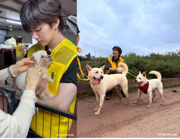 Yoo Seung-ho walks abandoned dogs in the heatwave, saying 'even if it's just one more child'