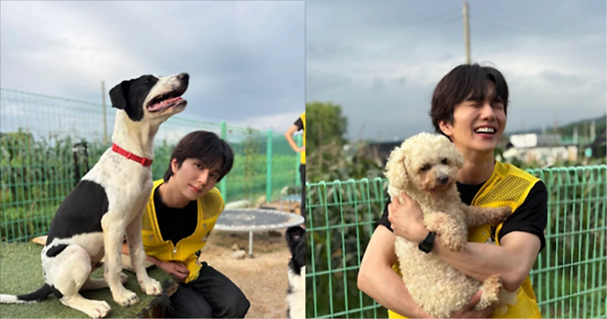 Yu Seung-ho dắt chó cứu hộ đi dạo giữa nắng nóng: "Dù chỉ thêm một bé thôi cũng được"