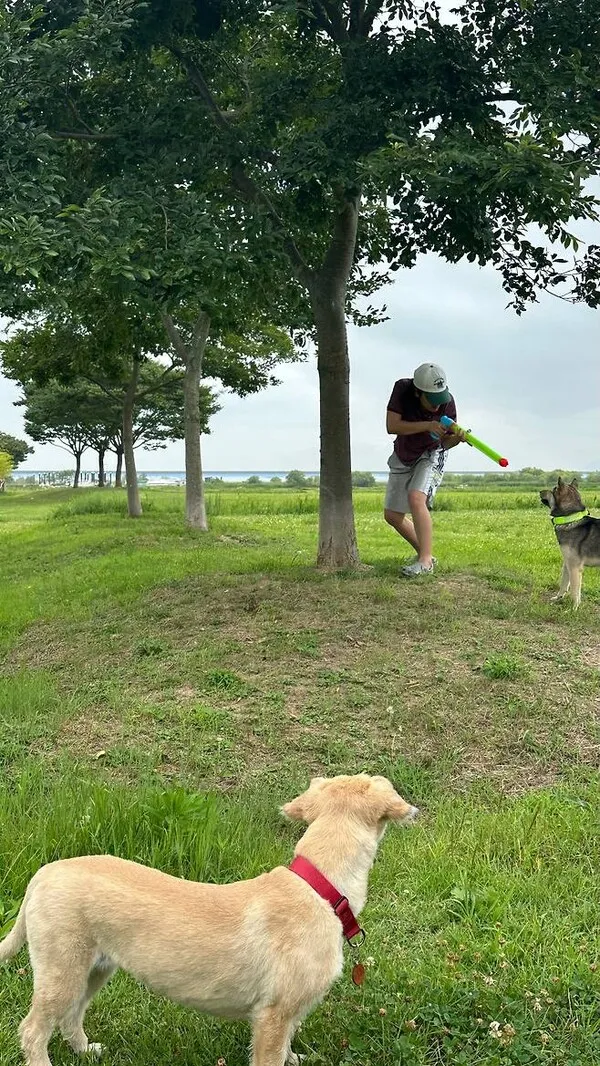 Lee Joo-young parodies horseback riding with a puppy to celebrate 'Hope' reaching 2 million viewers: 'A total Hope-lover'