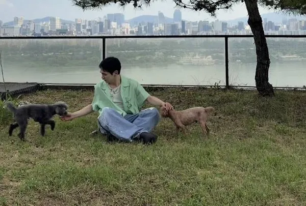 SHINee's Key Shares Peaceful Moments with Pets at Han River View Home Following 'Injection Auntie' Controversy