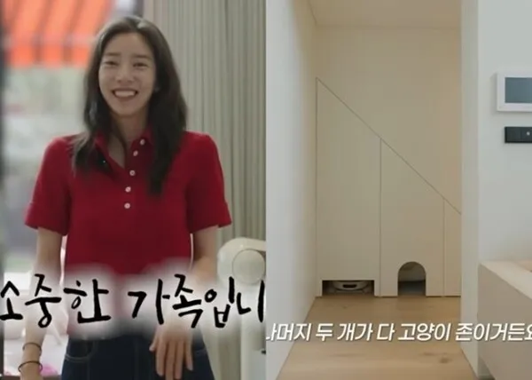 Son Dam-bi denies abandoning pet cat after childbirth