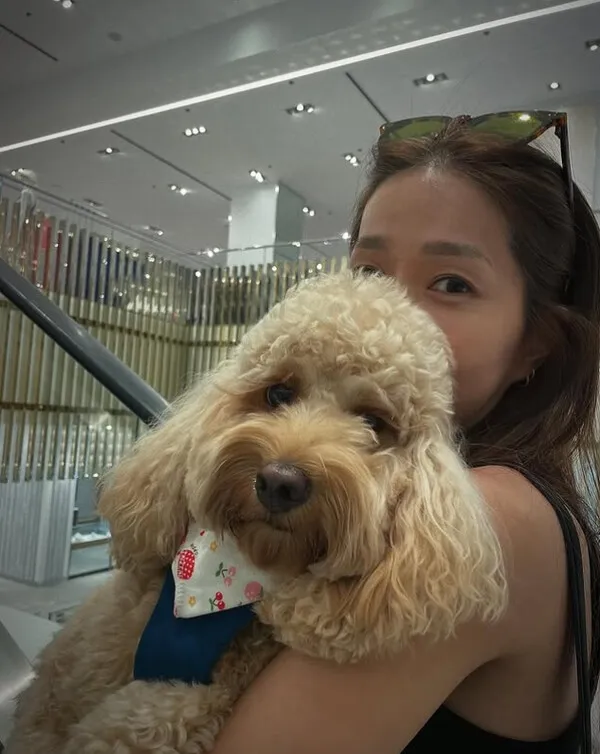 Former Fin.K.L Member Lee Jin Returns to Korea with Her Dog, Spending Time with Fin.K.L Members and Song Hye-kyo