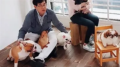 イ・ギョンギュの娘イ・イェリム、愛犬6匹との別れを告白「今でも会いたい」