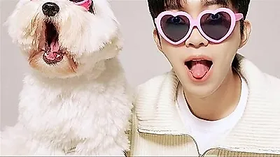 Ca khúc 'Totto' của Lim Young-woong vượt 2 triệu lượt xem