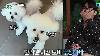 Cha Seung Won prioritizes his dog over meals, Kim Do-hoon reveals