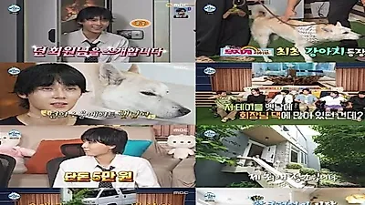 Dawn's Home Life Reveal Boosts 'I Live Alone' to 6.7%