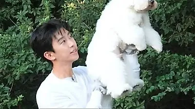 Lim Young-woong's white outfit makes him hard to distinguish from his dog Siwol