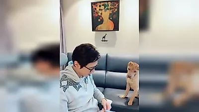 Ko Ji-yong đang tranh chấp quyền nuôi con, đăng dòng trạng thái đầy ẩn ý 'là chó hay là sói'