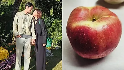 Solbi发布苹果照片暗示李奎翰爱意延续