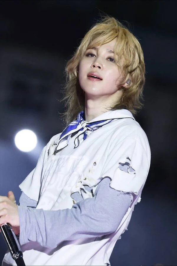 BTS Jimin earns "Little Fairy of Tucumán" nickname due to local Spanish accent