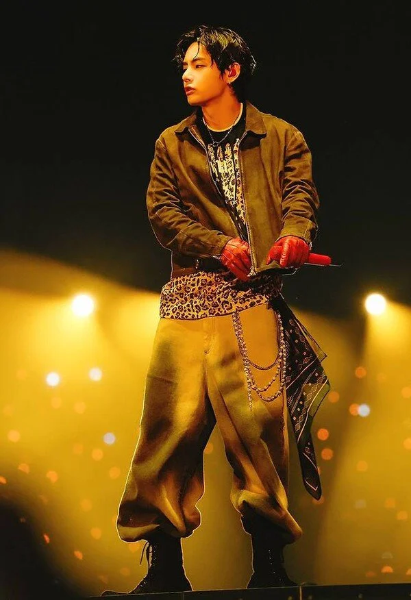 BTS's V Captivates Chile with Local Memes and Traditional Expressions During Santiago Concerts
