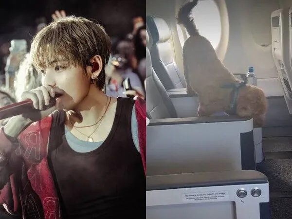 BTS Vの機内での愛犬動画を巡り論争、「機内ルールはどうなっているのか」と議論噴出