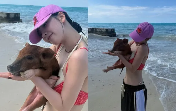 aespa Karina身着红色沙滩装，与小猪一同漫步海滩